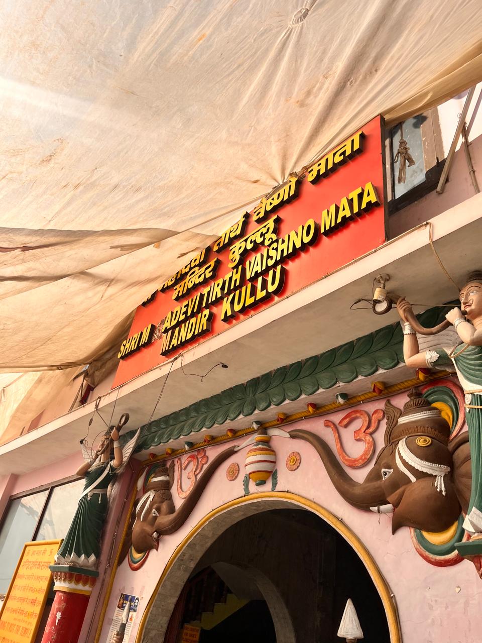 WhatsApp Image 2026-01-22 at 11.17.55