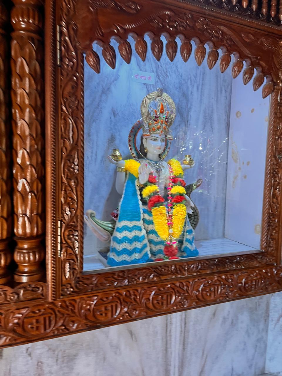 WhatsApp Image 2026-01-22 at 11.18.11